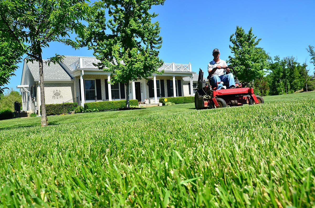 Mowing and lawn care services